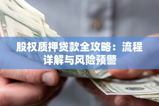 北京股权质押贷款全攻略：流程详解与风险预警