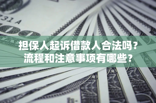 北京担保人起诉借款人合法吗？流程和注意事项有哪些？