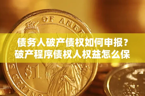 北京债务人破产债权如何申报？破产程序债权人权益怎么保障？
