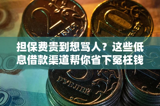 北京担保费贵到想骂人？这些低息借款渠道帮你省下冤枉钱