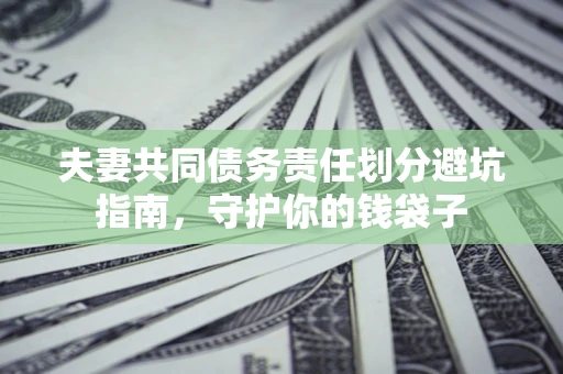 北京夫妻共同债务责任划分避坑指南，守护你的钱袋子