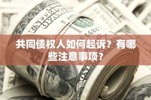 北京共同债权人如何起诉？有哪些注意事项？